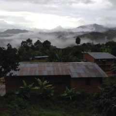 Coffee in Peru