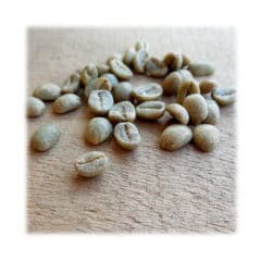 Rohkaffee Sumatra Heimröster