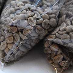 Sumatra green coffee, 1 kg