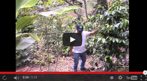 Kaffeereise, Ecuador, Kaffee, Produzenten