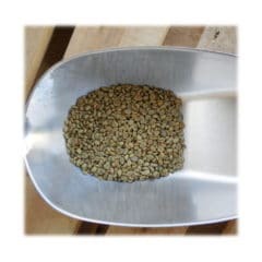 Rohkaffee aus Ecuador zum selbströsten