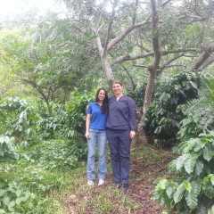 Kaffee Costa Rica, hier mit Veronica