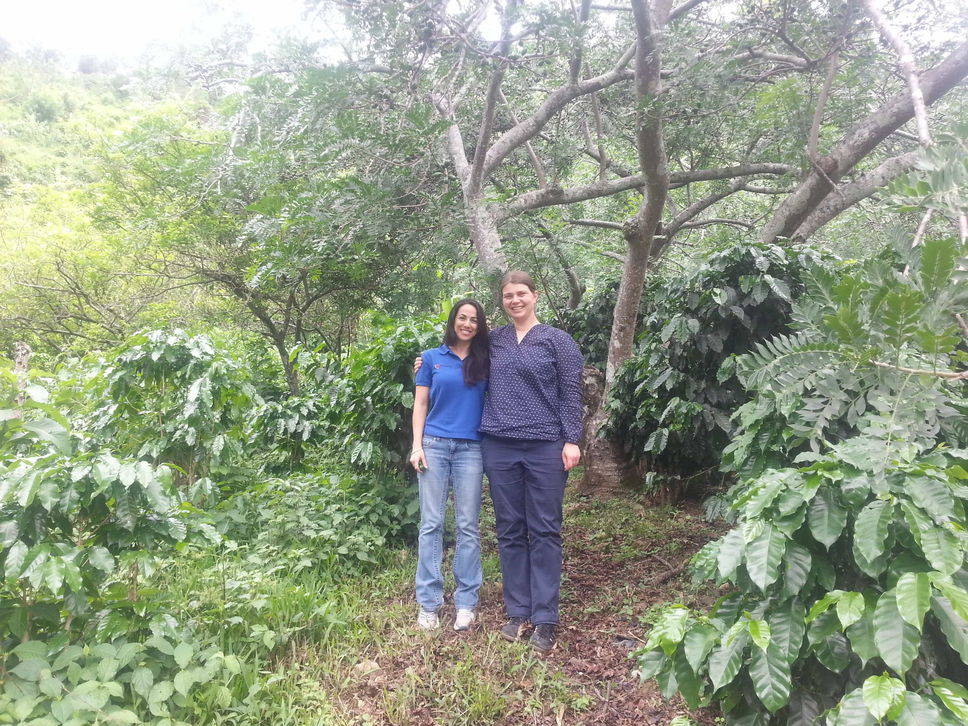 Kaffee Costa Rica, hier mit Veronica