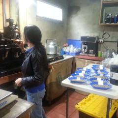 Cupping Lab