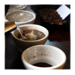 Kaffee Sensorik