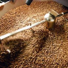 Freshly roasted coffee