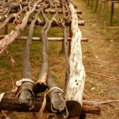 Drying area in Ethiopia