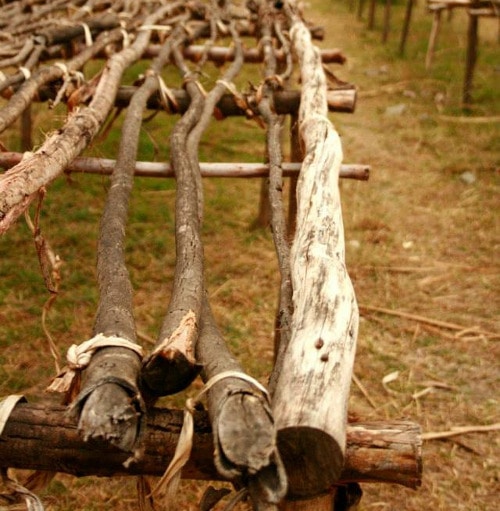 Drying area in Ethiopia