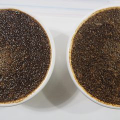 Kaffee Gefrierschrank