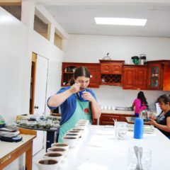 Cupping Honduras