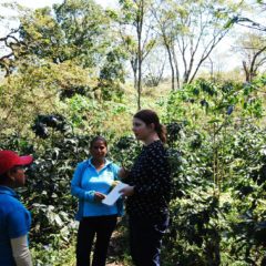 Kaffee Honduras