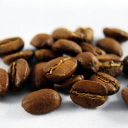 Coffee beans of highest quality