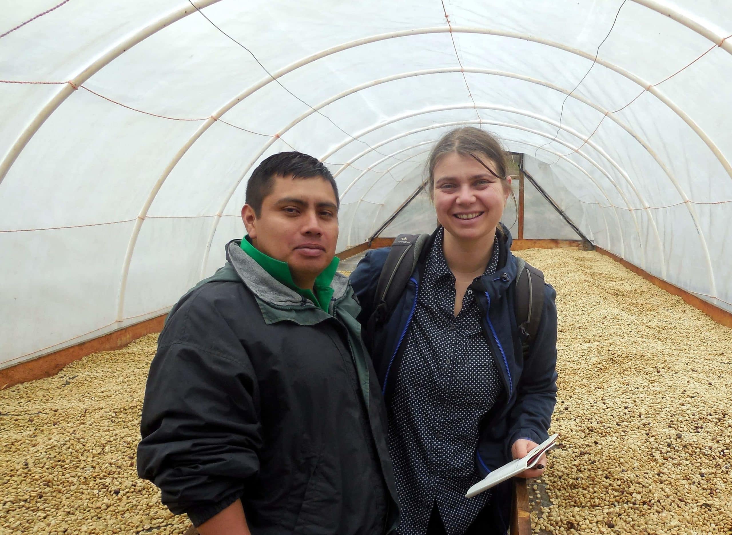 Kaffee bei Combrifol, Honduras