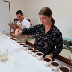 Cupping at D.O. Marcala