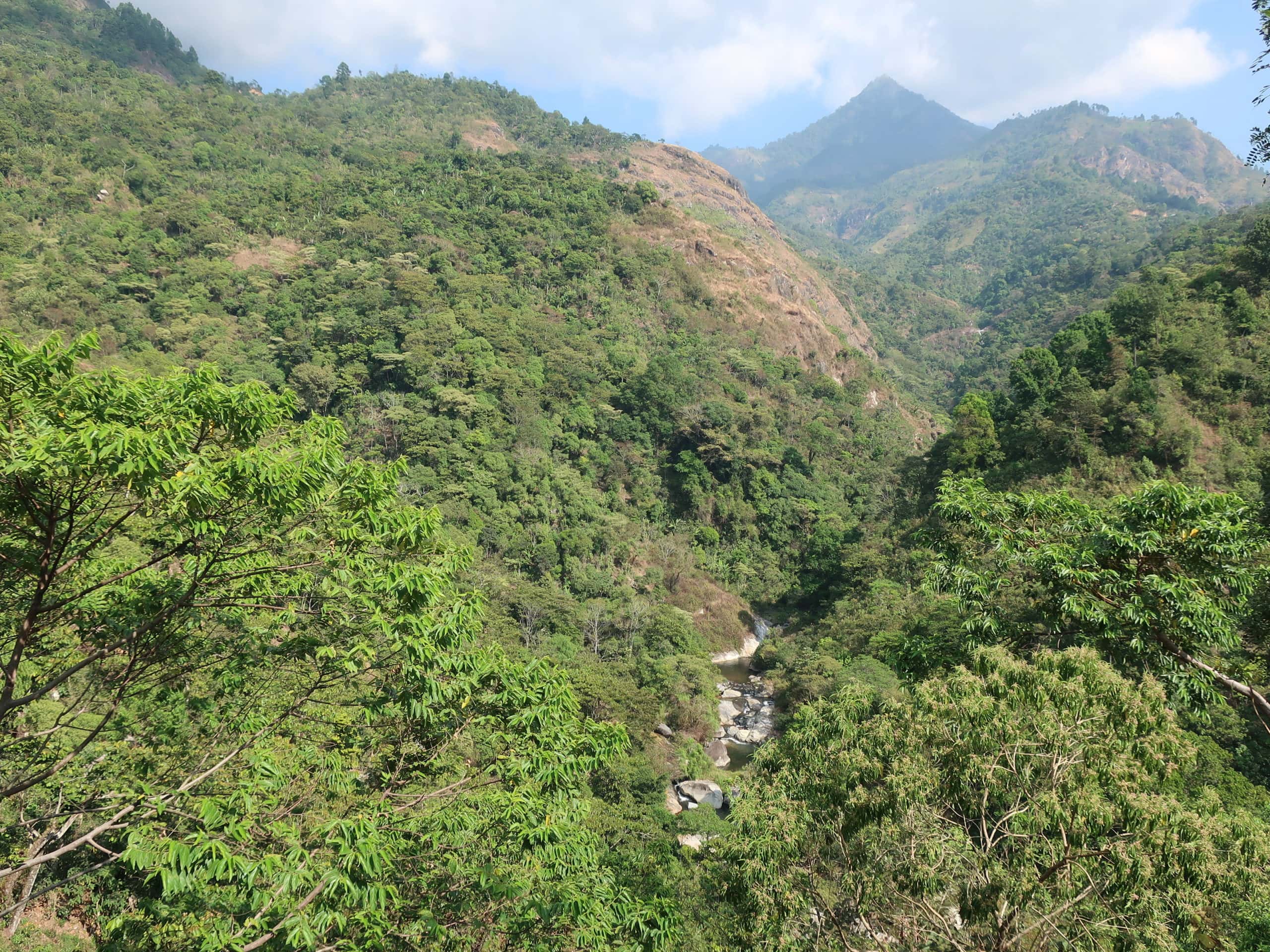 Kaffee in Guatemala