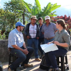 Kaffee in Guatemala