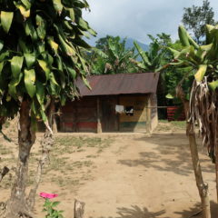 Kaffee in Guatemala