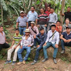 Kaffee in Guatemala