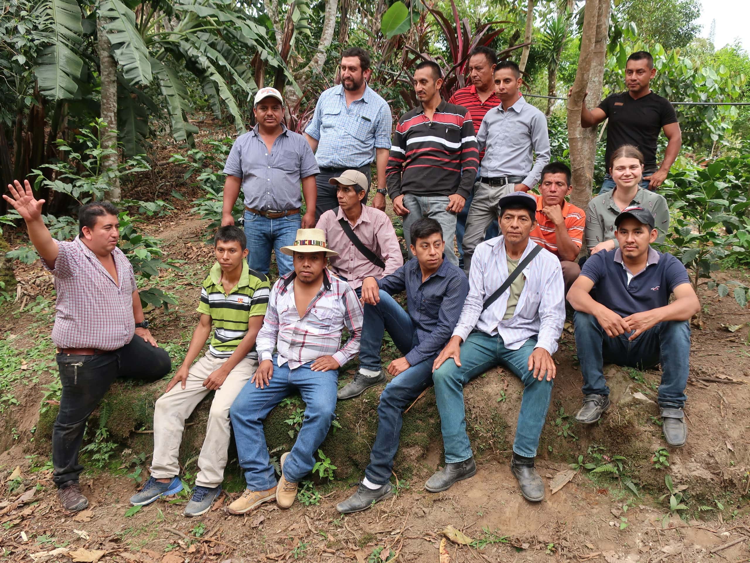 Kaffee in Guatemala