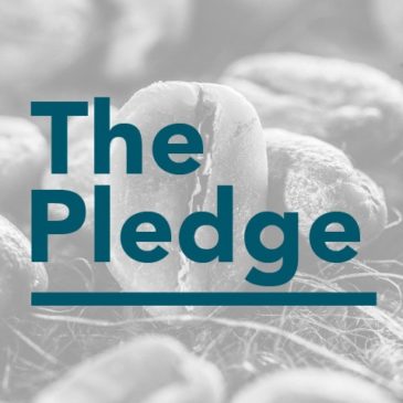 transparency coffee the pledge