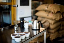 cupping und Qualitätskontrolle