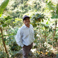 Kaffee Produzent Arturo