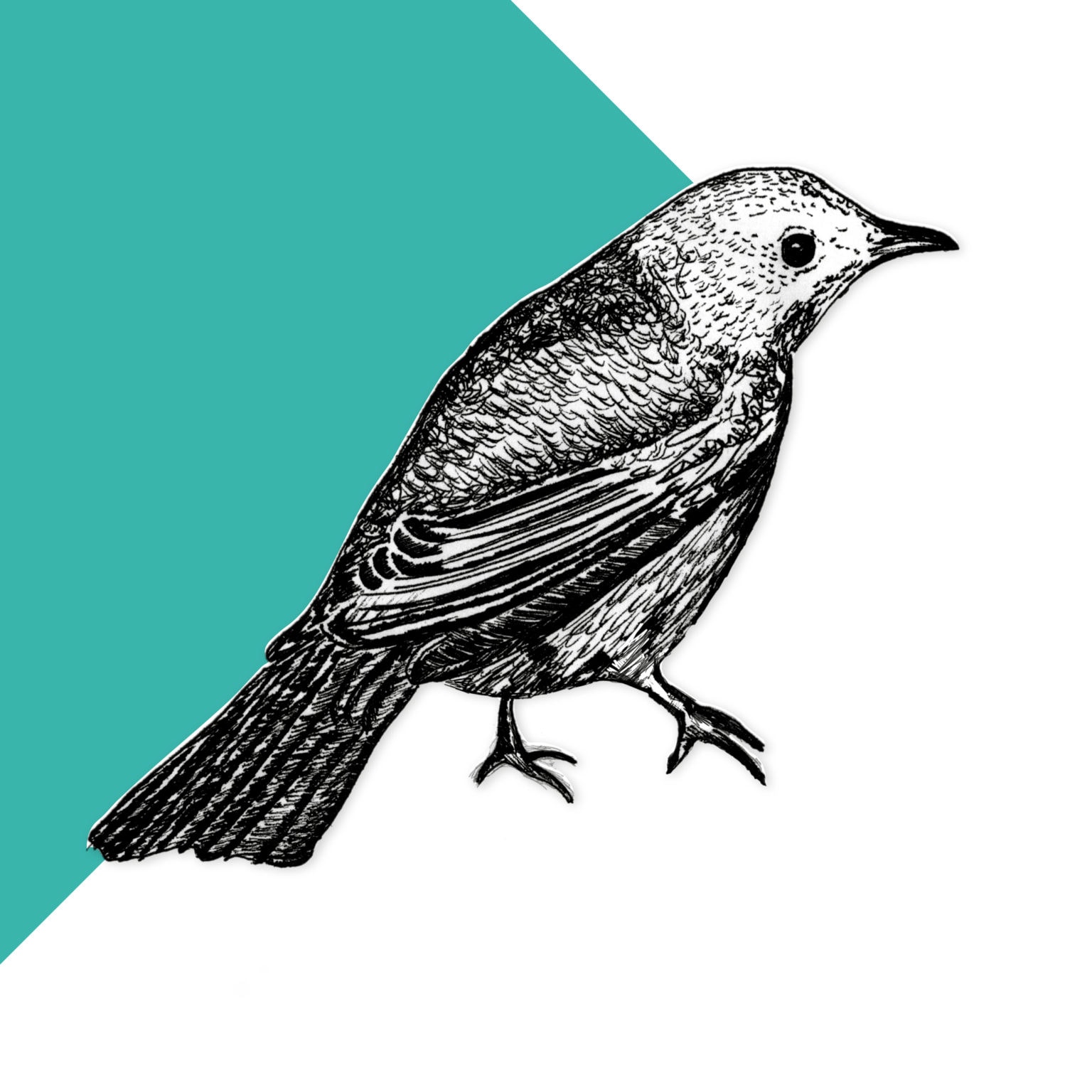 Karlsbader Kanne | Flying Roasters