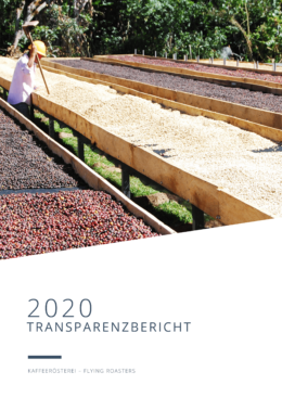 Transparenzbericht 2020