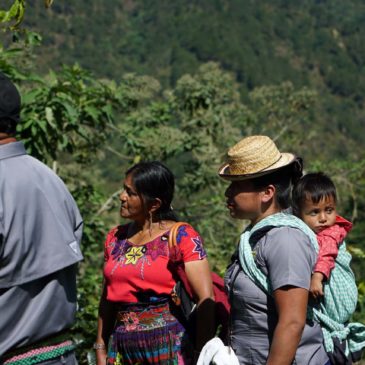 Kaffee Guatemala