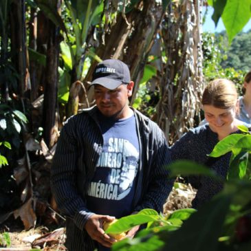 coffee Honduras