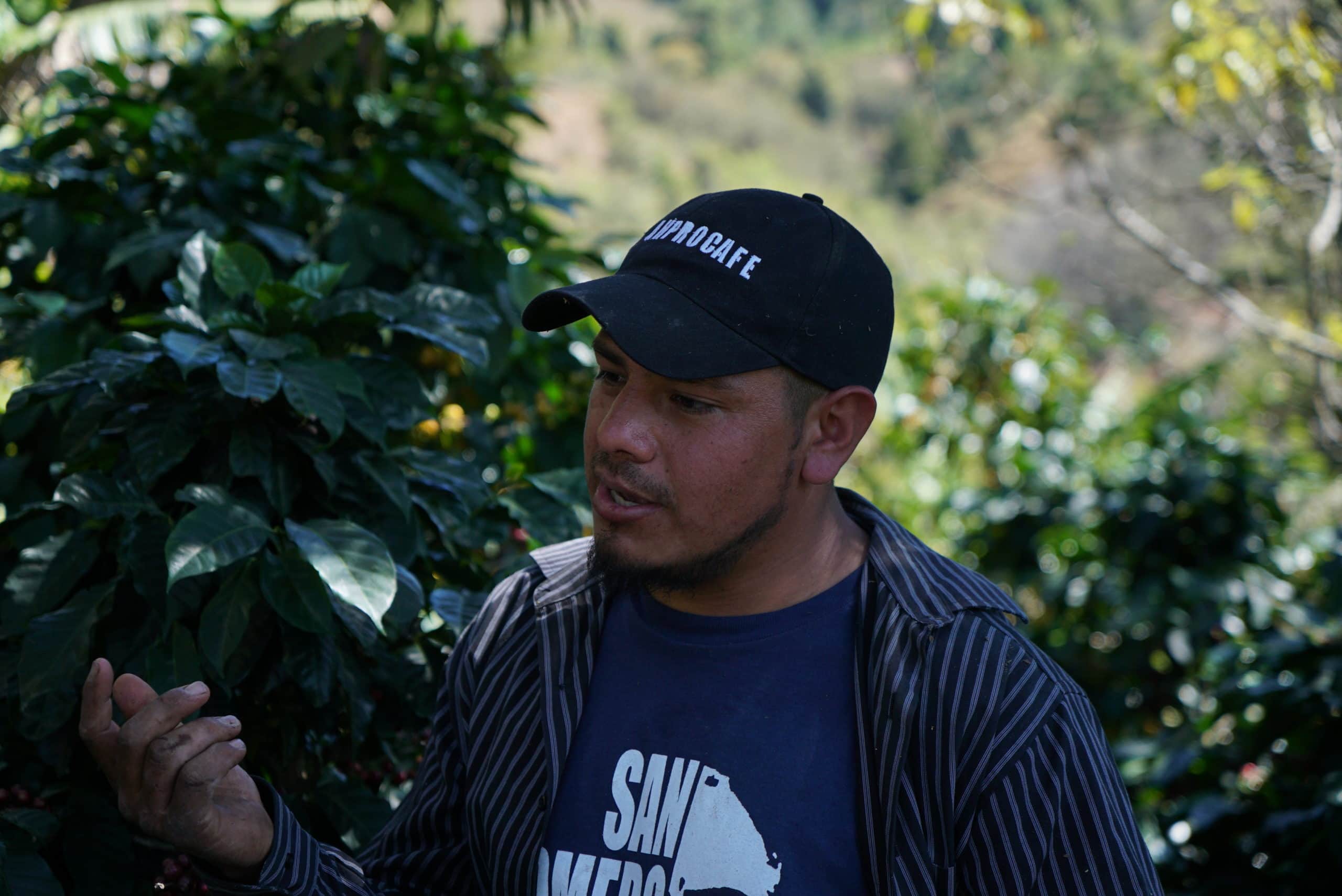 coffee farmer