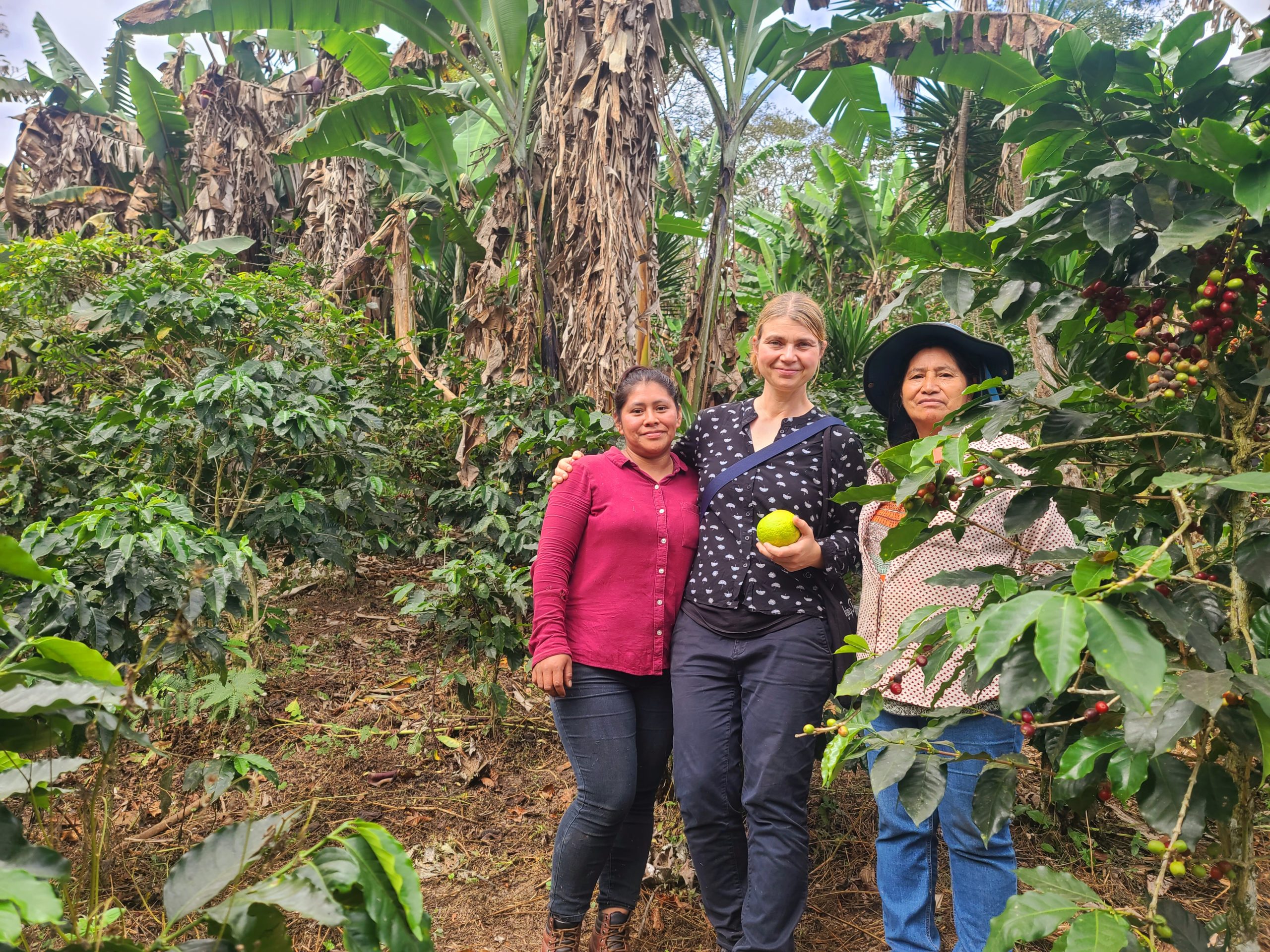 Kaffee Honduras