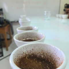 Cupping_Kaffee