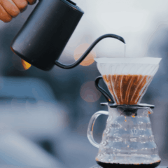 Kaffee Tasting